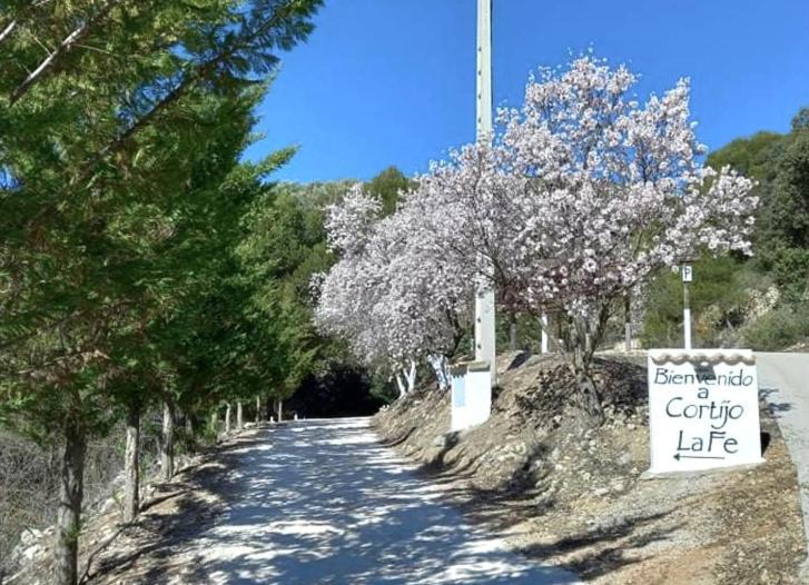 Cortijo La Fe Guest House Montefrio Exterior photo